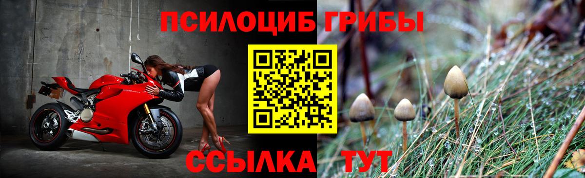 Псилоцибиновые грибы прущие грибы Миллерово